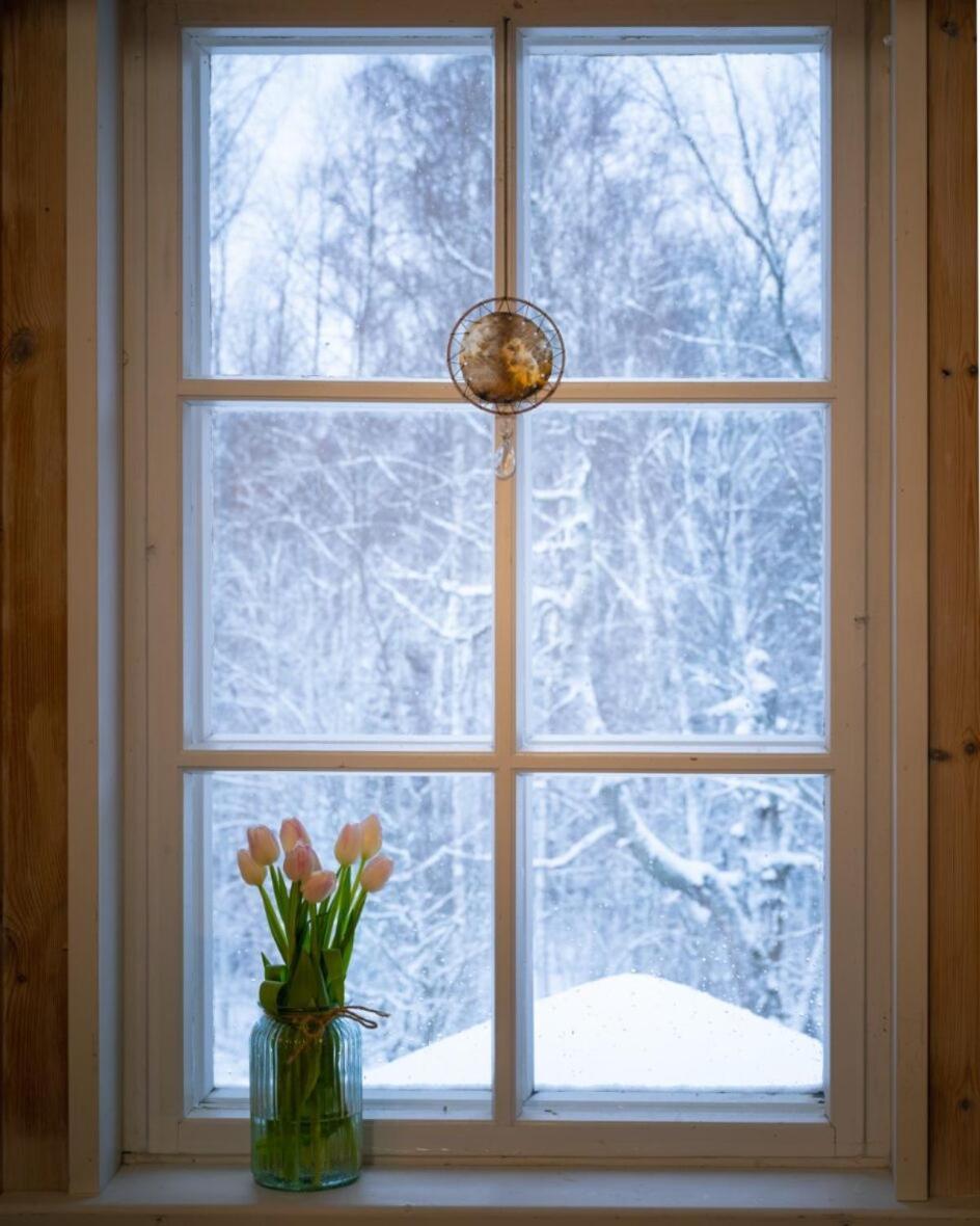 Kolin Mattila B&B Kolinkylä Esterno foto